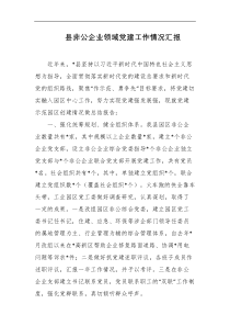 县非公企业领域党建工作情况汇报
