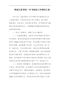 某县打造两优一先党组织工作情况汇报