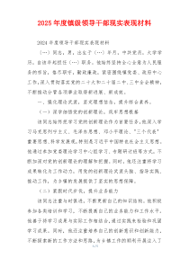 2025年度镇级领导干部现实表现材料