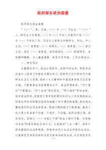 组织部长政治画像