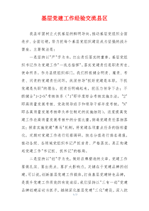 基层党建工作经验交流县区