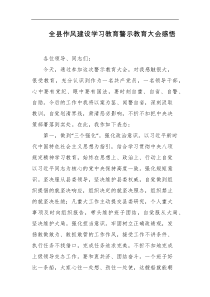 全县作风建设学习教育警示教育大会感悟