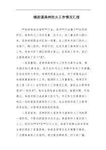 镇街道森林防火工作情况汇报