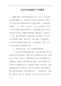 2025年全县统计工作要点