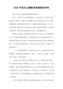 2025年党内主题教育查摆剖析材料