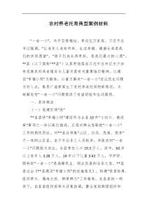 农村养老托育典型案例材料