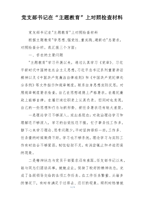 党支部书记在“主题教育”上对照检查材料