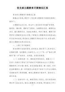 党支部主题教育开展情况汇报