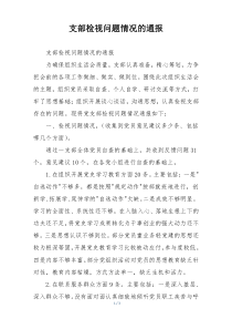 支部检视问题情况的通报