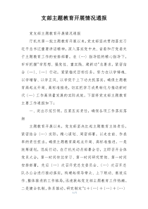 支部主题教育开展情况通报