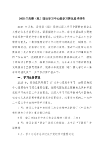 2025年党委（组）理论学习中心组学习情况总结报告（精选汇编）
