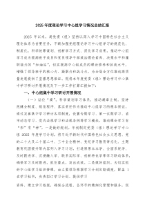 2025年度理论学习中心组学习情况总结汇报（最新合集）