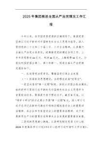 2025年集团推进全面从严治党情况工作汇报