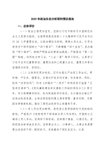 2025年政治生态分析研判情况报告（精选范本）
