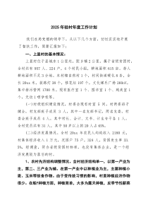 2025年驻村年度工作计划（4篇）