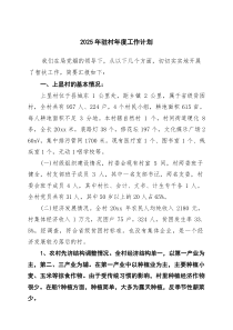 2025年驻村年度工作计划（8篇）