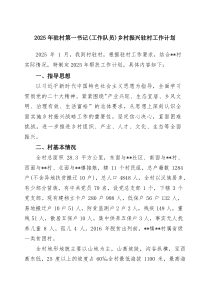 2025年驻村第一书记（工作队员）乡村振兴驻村工作计划5篇（精选版）