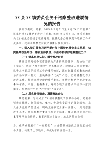 XX县XX镇委员会关于巡察整改进展情况的报告