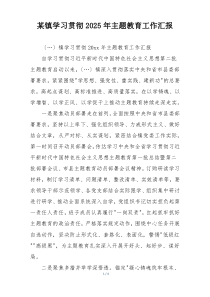 某镇学习贯彻2025年主题教育工作汇报