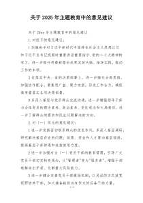 关于2025年主题教育中的意见建议