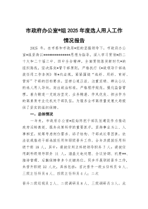 市政府办公室党组2025年度选人用人工作情况报告