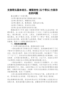 支部带头固本培元、增强党性（五个带头）方面存在的问题精选专题资料