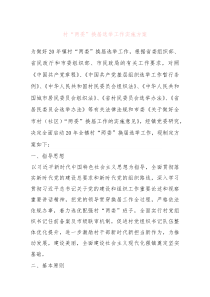 村“两委”换届选举工作实施方案