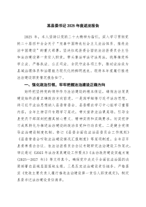 某县委书记2025年度述法报告范文