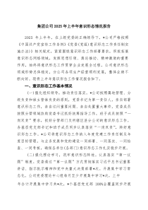 集团公司2025年上半年意识形态情况报告（精选合集）