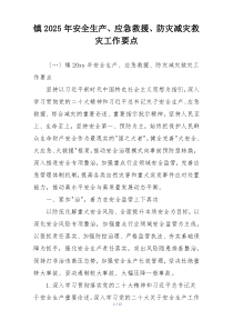 镇2025年安全生产、应急救援、防灾减灾救灾工作要点