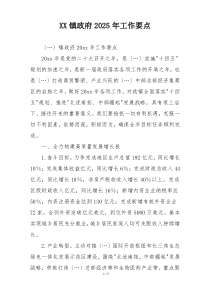 XX镇政府2025年工作要点