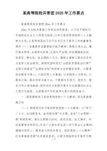 某高等院校共青团2025年工作要点