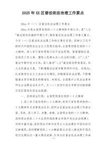 2025年XX区普法依法治理工作要点