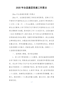 2025年全县基层党建工作要点