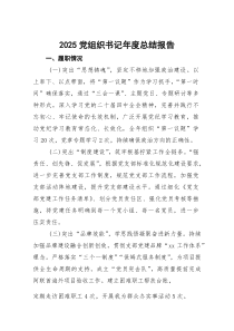 2025党组织书记年度总结报告(参考)