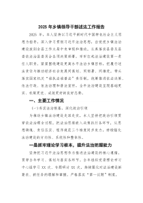 2025年乡镇领导干部述法工作报告(参考)