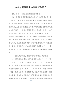 2025年新区开发办党建工作要点
