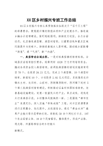 XX区乡村振兴专班工作总结(参考)