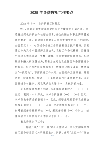 2025年县供销社工作要点
