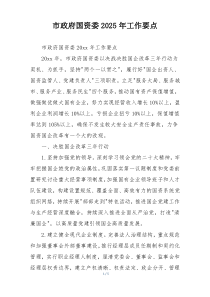 市政府国资委2025年工作要点