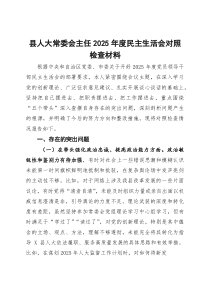 县人大常委会主任2025年度民主生活会对照检查材料(参考)