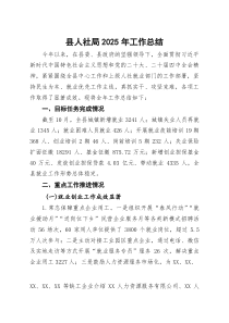 县人社局2025年工作总结(参考)