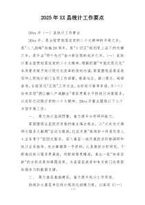 2025年XX县统计工作要点
