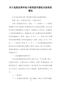 关于选派优秀年轻干部到团市委机关挂职的通知
