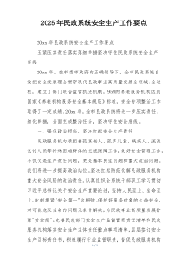2025年民政系统安全生产工作要点