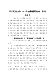 某公司党支部2025年度抓基层党建工作述职报告(参考)