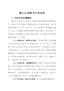 镇人大2025年工作总结(参考)