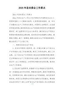 2025年县安委会工作要点