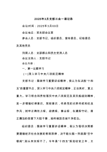 2025年3月支部三会一课记录