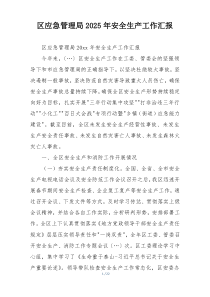 区应急管理局2025年安全生产工作汇报